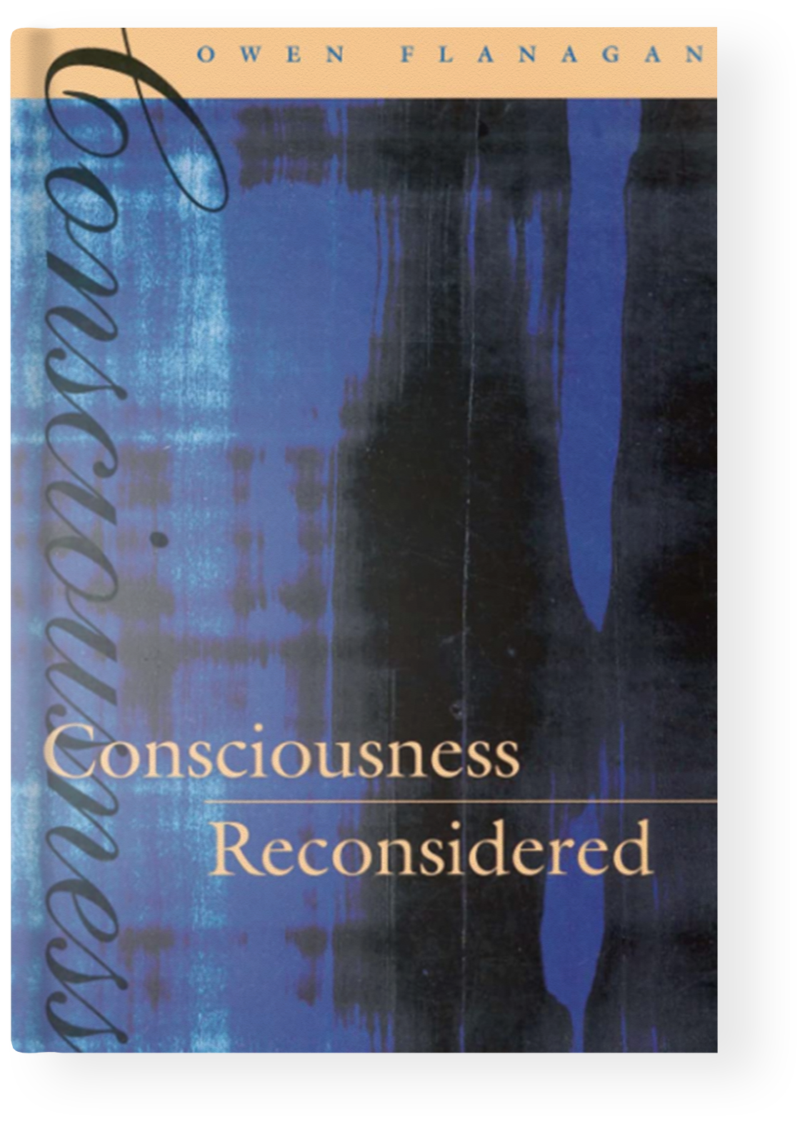 Consciousness Reconsidered