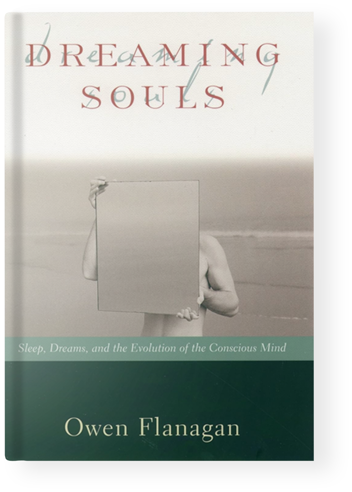 Dreaming Souls: Sleep, Dreams and the Evolution of the Conscious Mind