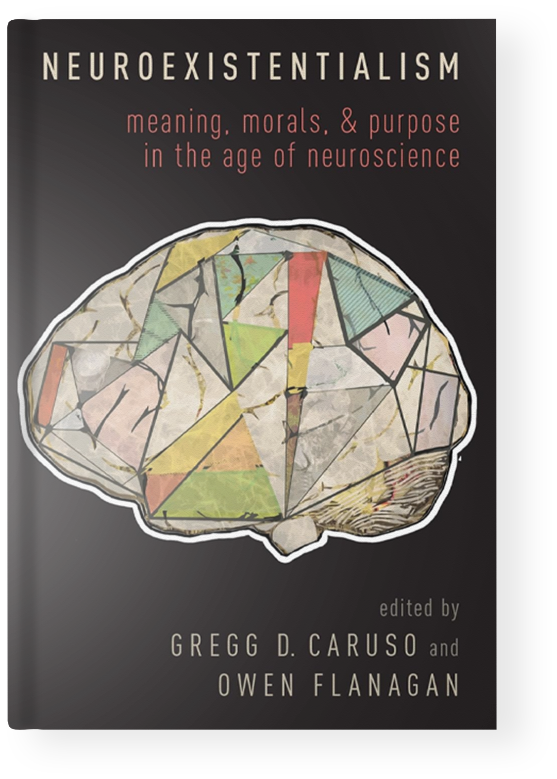 Neuroexistentialism: Meaning, Morals, and Purpose in the Age of
                        Neuroscience