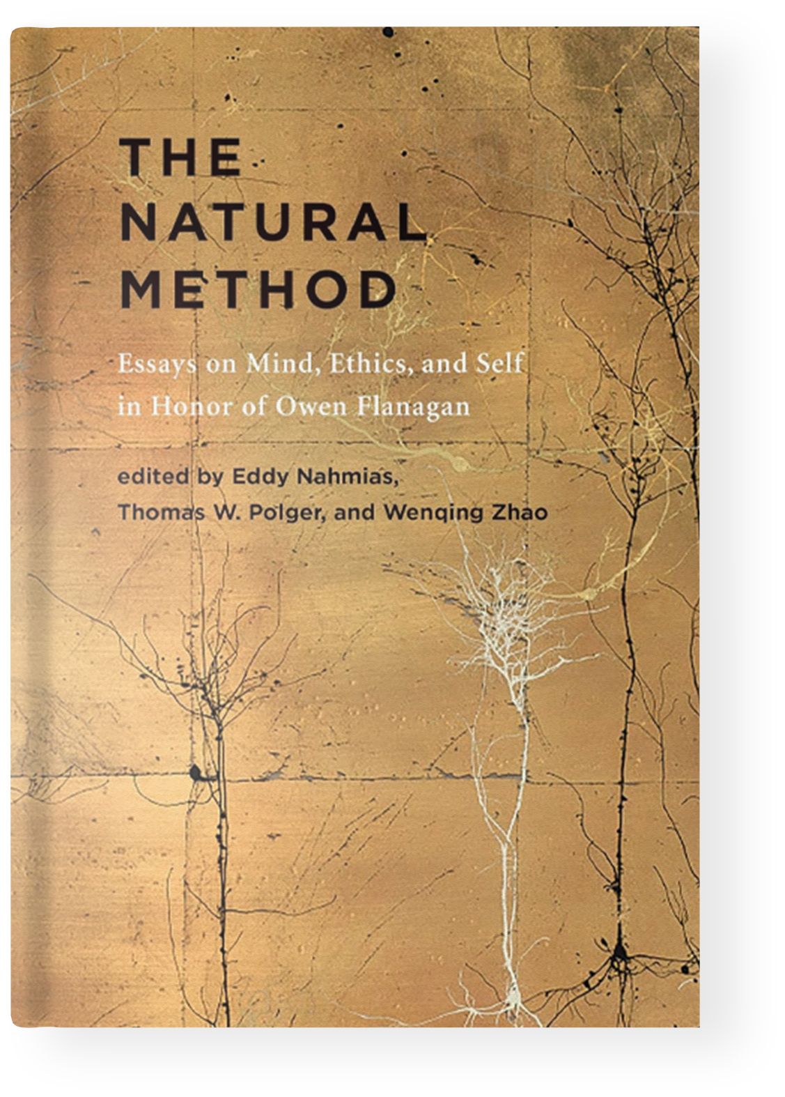 The Natural Method: Essays on Mind, Ethics, and Self in Honor of Owen
                        Flanagan