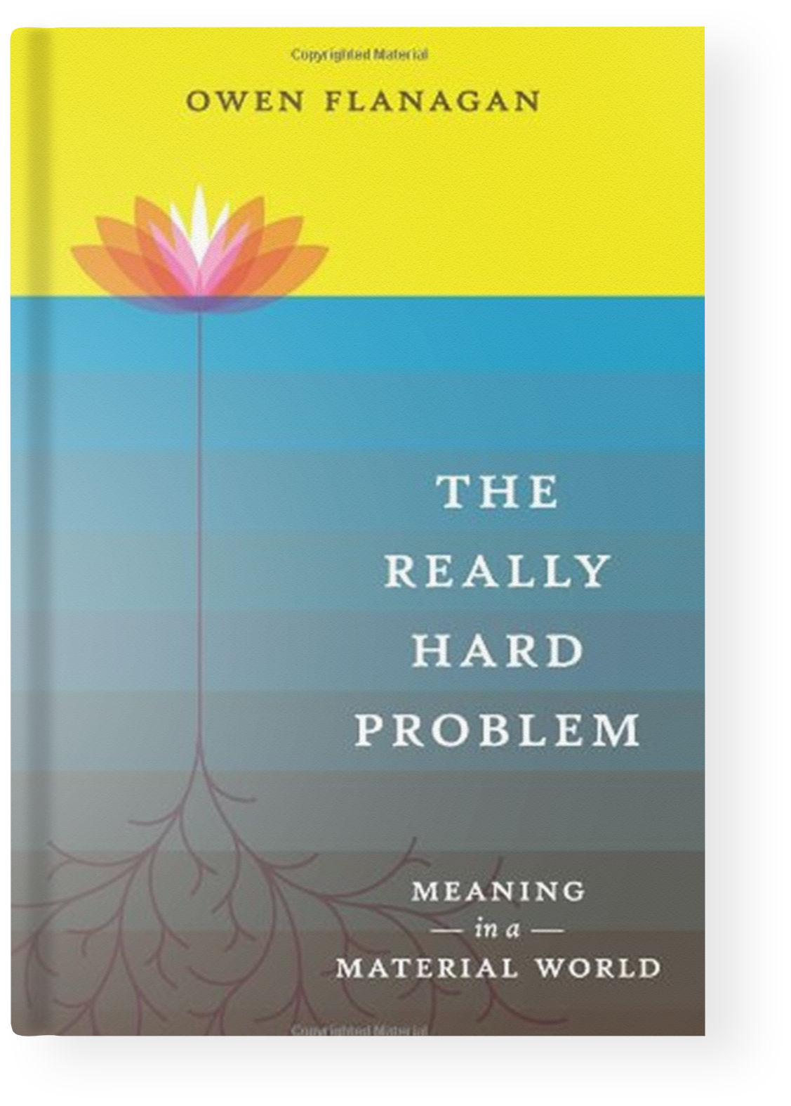 The Really Hard Problem: Meaning in a Material World