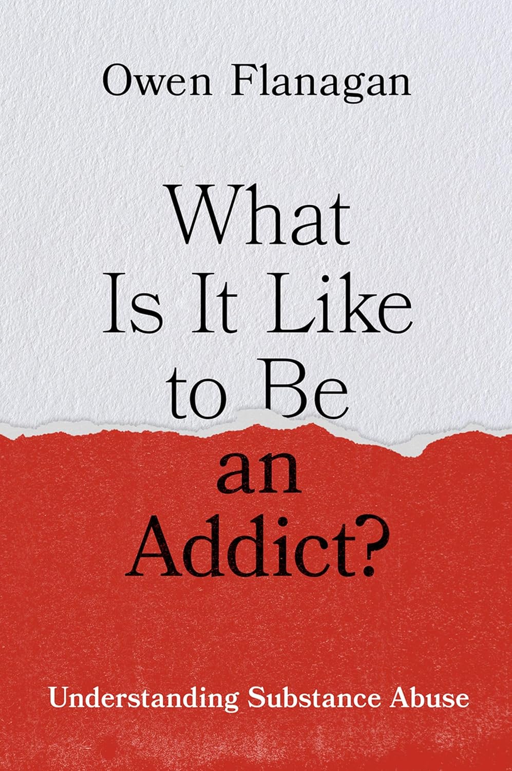 What Is It Like to Be an Addict